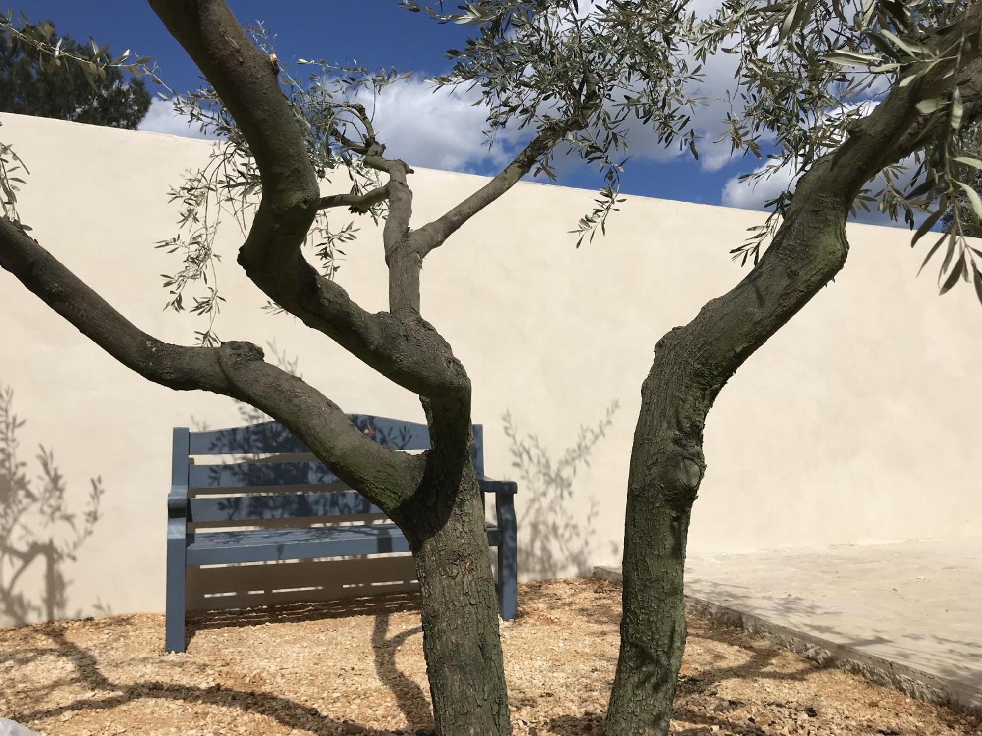 Les Mazets Et Spa D'Uzes Arpaillargues-et-Aureillac 외부 사진